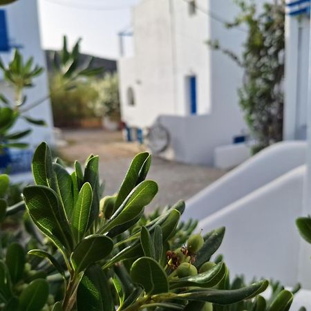 Εvi Evan Hotel Γαλησσάς Εξωτερικό φωτογραφία