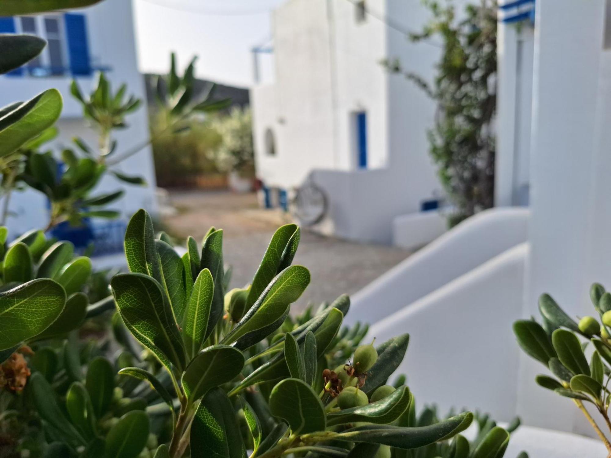 Εvi Evan Hotel Γαλησσάς Εξωτερικό φωτογραφία