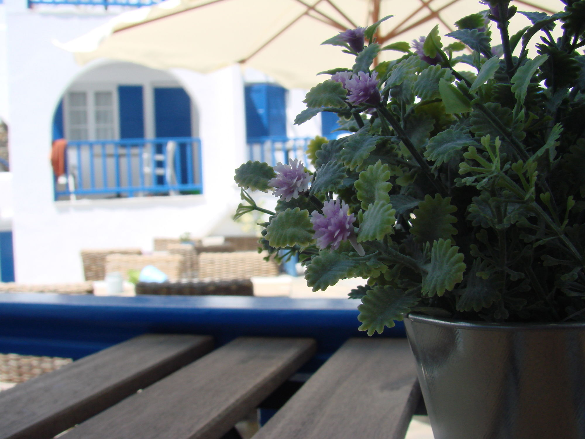 Εvi Evan Hotel Γαλησσάς Εξωτερικό φωτογραφία