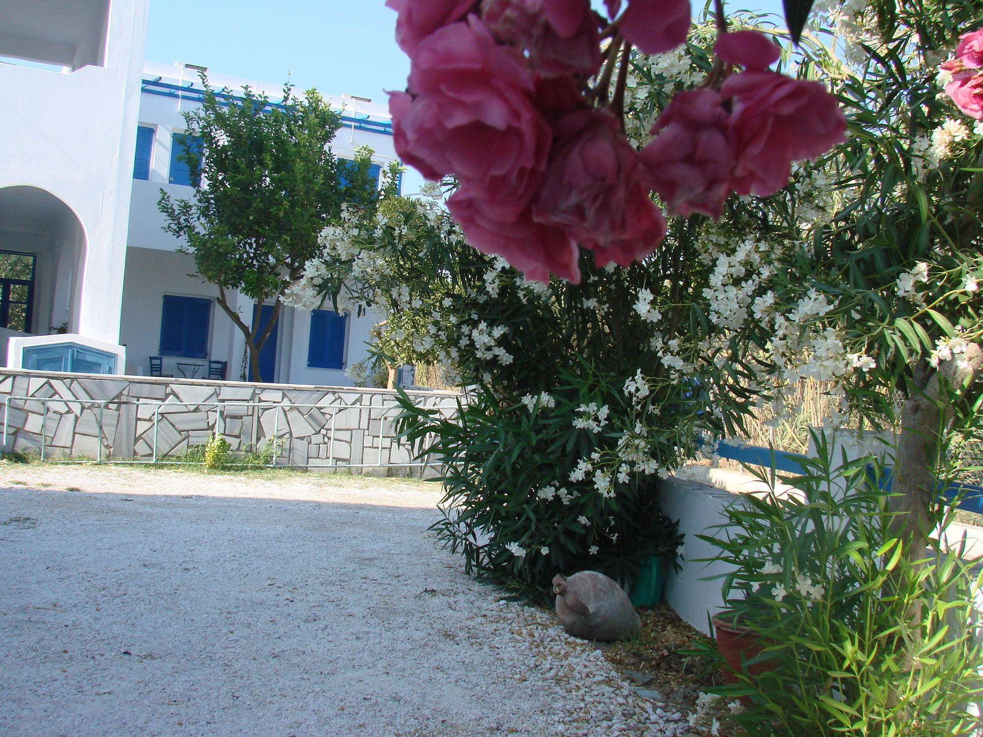 Εvi Evan Hotel Γαλησσάς Εξωτερικό φωτογραφία